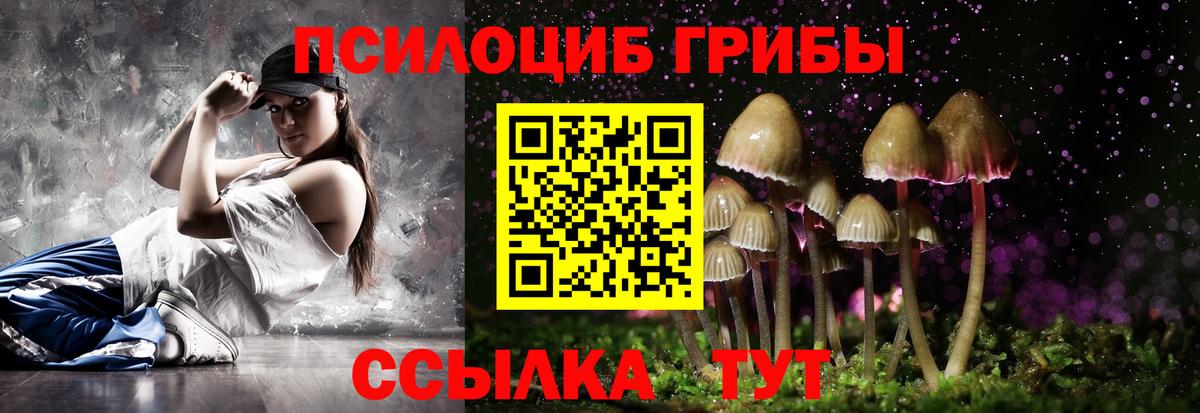 Галлюциногенные грибы прущие грибы Каспийск